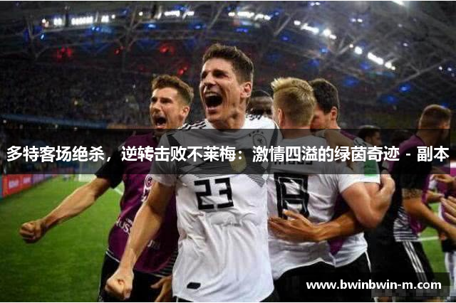 多特客场绝杀，逆转击败不莱梅：激情四溢的绿茵奇迹 - 副本