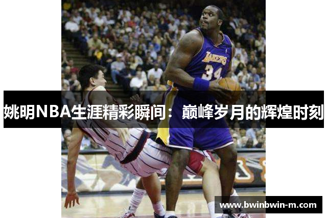 姚明NBA生涯精彩瞬间：巅峰岁月的辉煌时刻