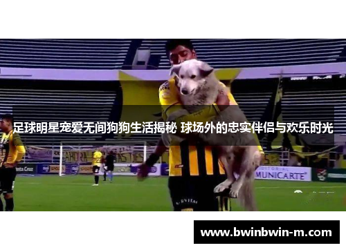 足球明星宠爱无间狗狗生活揭秘 球场外的忠实伴侣与欢乐时光