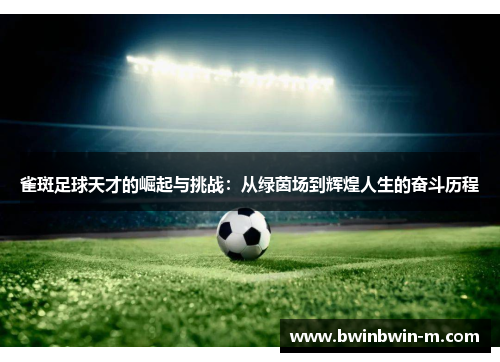 雀斑足球天才的崛起与挑战：从绿茵场到辉煌人生的奋斗历程