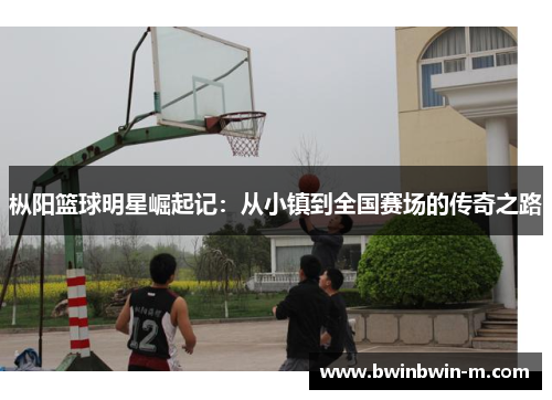 枞阳篮球明星崛起记：从小镇到全国赛场的传奇之路